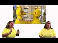 Canta con Elmo y Louie “Me encanta escucharte a ti” | Canción ASL