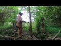 How to Use the Hack & Squirt Technique | Timber Stand Improvement