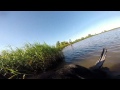 Rainee picking up a Lesser Canada Goose