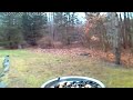 Blue Jay - Bird Photo Booth 2.0 - Slow Motion 2-12-17