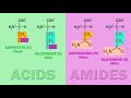 Memorize the 20 Amino Acids in 9 Minutes