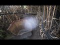 Isolating Giant Canes ( Arundo Donax )