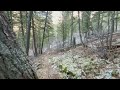 Montana Virtual Walking Trails for Treadmill - New Trail - City Walks 4K