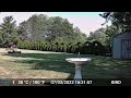 Trail cam - July 3rd, 2023 - Birds and Squirrels - Part 10