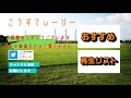 【新潟にタイトルを！】ルヴァンカップ・プライムラウンドの組み合わせが決定。これは優勝、狙えます！【アルビレックス新潟/albirex】