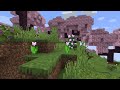 Minecraft's Most Beautiful Biome - Minecraft 1.20 Cherry Grove with village and added foliage