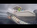 Spearfishing Wahoo in Costa Rica