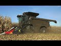 FENDT IDEAL 10T + 939 Vario bei der Maisernte 2023/ Corn Harvest 23