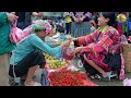 Harvesting the pepper garden to sell at the market -  Bếp Trên Bản