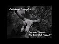 Lazarus Complex - Beauty Through The Eyes of A Predator (Demon Hunter Cover)