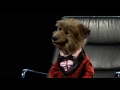 Hacker T Dog on Celebrity Mastermind