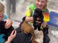 The puppies! 11/10/23