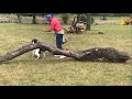 Pett Farm Pooch Paddock - Dog Walking Field