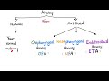 Airway - Oropharyngeal Airway (OPA) vs Nasopharyngeal Airway (NPA) - Ventilation - Suctioning