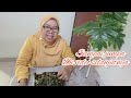 Pedasnya kerang hijau saus Padang #viral #youtuberpemula2023 #keranghijau