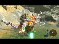 How to Defeat a Silver Lizalfos | Breath of The Wild | BoTW