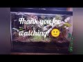 pt. 2 building a terrarium, drainage layer and initial background plan