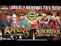 Los Alameños de La Sierra y Sonoreños Del Compa Tico 🎸 Cumbias y Huapangos Para Bailar