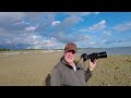 Bird Photography | Tips and Tricks for Photographing Shorebirds | OM1