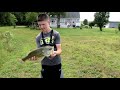 Catching HUGE fish in a tiny drainage pipe! (Ty PigPatrol style!)
