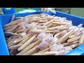 The process of making a hygienic toothbrush. Amazing Korean toothbrush factory