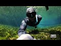 Freediving Florida's freshwater springs