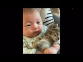 Baby and cat vibing
