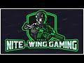 THE NITEWING GAMING INTRO