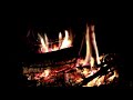 Nice cozy chirping fireplace FULL HD 1 Hour