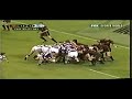 Amazing Rugby Tries