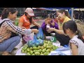 Harvest Mango Garden Goes To The Market Sell - Make Pickled Mango - Hanna Daily Life