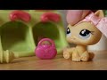 LPS Shopping Spree