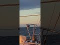 Sailing the chesapeake into the patapsco