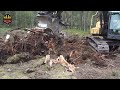 Amazing Dangerous Biggest Stump Removal Excavator in Action, Powerful Stump Removal Grinding Machine