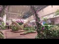 CHANGI AIRPORT VLOG// 24/7/24..