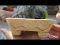 Cómo hacer macetas de cemento. Fáciles y económicas 💕 Con molde reutilizado♻️
