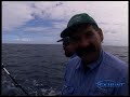 Bushy and Steve off Port Stephens NSW for Marlin