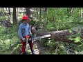 How to Plunge Cut Bore Cut With Chainsaw Safely