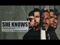Dimitri Vegas & Like Mike, David Guetta, Afro Bros - She Knows [with Akon] (Visualizer)