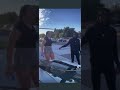 Lamborghini gets rear ended driver blames Lambo