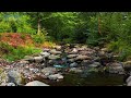 Relaxing Instrumental Music for Stress Relief #stressreliefmusic