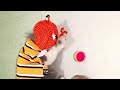 Kompilasi Kelucuaan anak kucing  #lucu #kucinglucu #funnyvideo #funny #shorts   @nimal225   ​