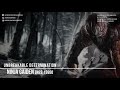 Ninja Gaiden | Unbreakable Determination [Rockestral]