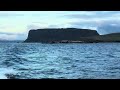 Seals and dolphins at Stanley