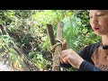 Camping in the forest making a bamboo shelter - wild forest beauty l CHÚC THỊ MỤI