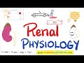 Acute Tubular Necrosis (ATN) - Azotemia - Acute Renal Failure (Acute Kidney Injury) - Nephrology