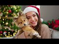 Top Christmas Songs of All Time 🎅🏼 Best Christmas Music Playlist 🎄 Christmas Medley 2024 #3