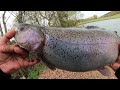 Forellensee Lutter am Barenberge ( Trout Area Fishing )