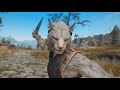 Skyrim: 5 Things They Never Told You About The Khajiits