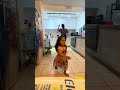 Mom dances in kitchen while toddler plays DJ